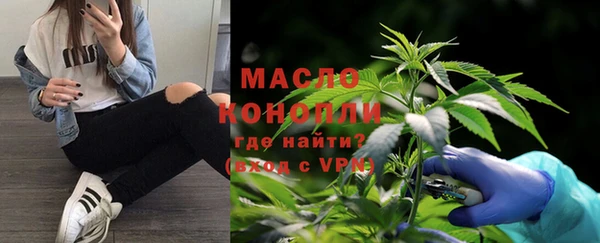 СК Пересвет
