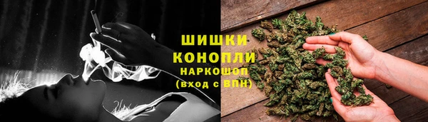 СК Пересвет