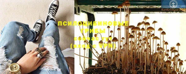 Альфа ПВП Осинники