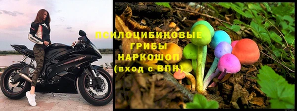 СК Пересвет