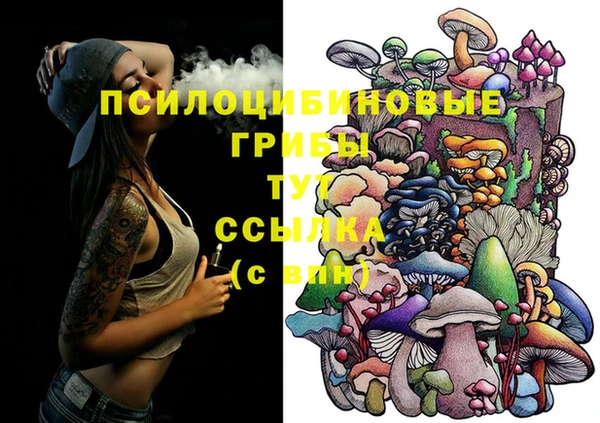 Альфа ПВП Осинники