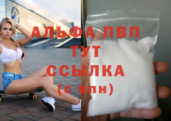 СК Пересвет