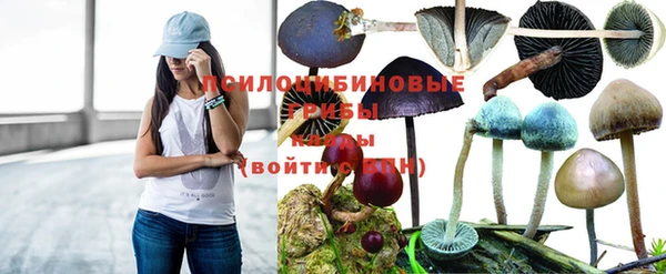 Альфа ПВП Осинники