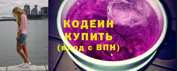 СК Пересвет