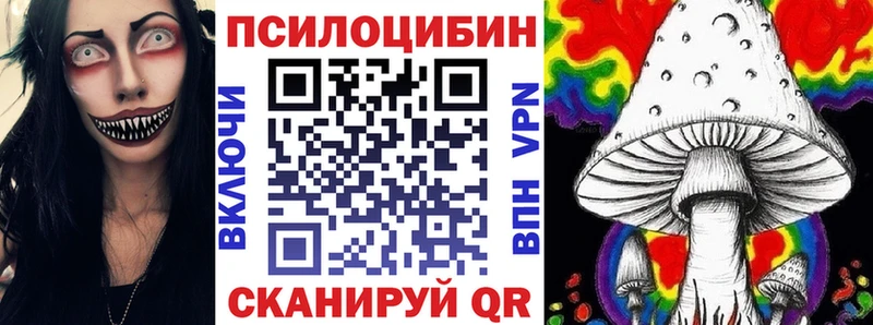 как найти закладки Боровск Псилоцибиновые грибы Psilocybine cubensis